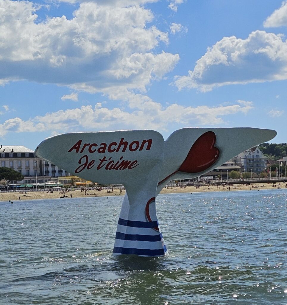 Visiter Arcachon et ses fameuses queues de Baleine à thème différent chaque année