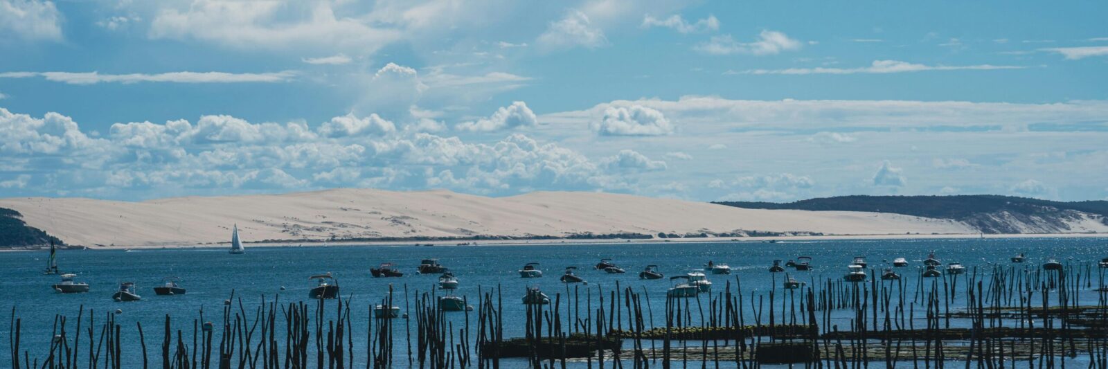 Vue sur des cultures d’huîtres et la dune du Pilat en arrière-plan