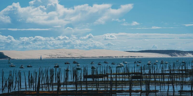 Vue sur des cultures d’huîtres et la dune du Pilat en arrière-plan