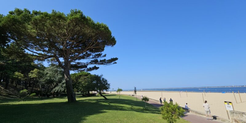La plage Pereire ensoleillée avec arbres verdoyants