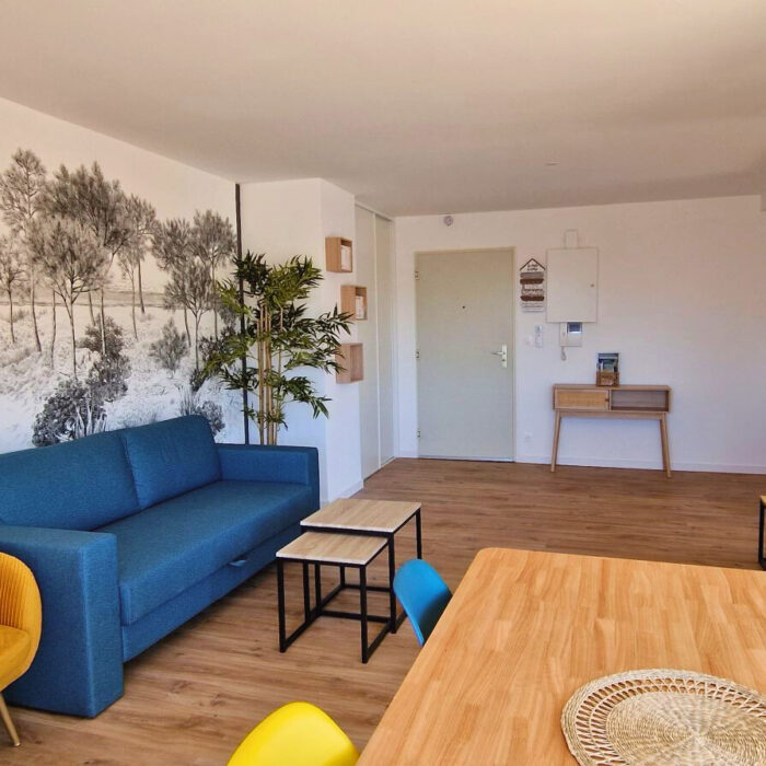 Salon avec canapé-lit dans la location saisonnière Les Cinq Balcons d'Arcachon