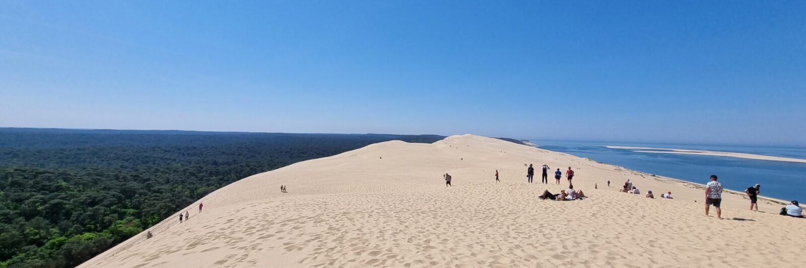 Vue panoramique depuis la Dune du Pilat, avec la forêt des Landes et l’océan Atlantique en arrière-plan