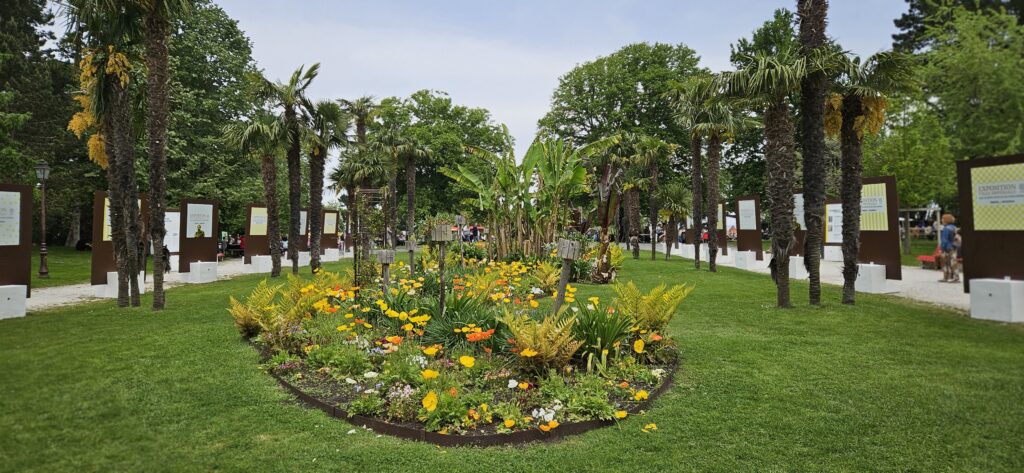 Un parterre de fleurs au milieu de l'exposition "Arcachon ville impériale" dans le parc Mauresque